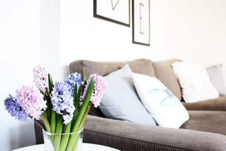 spring decoration with hyacinths