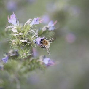 Minimalismus im Garten (auch und vor allem mit Kindern)- wie denn das?