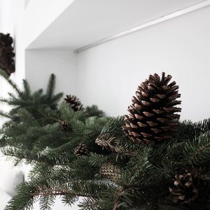 Weihnachten im Waldhaus